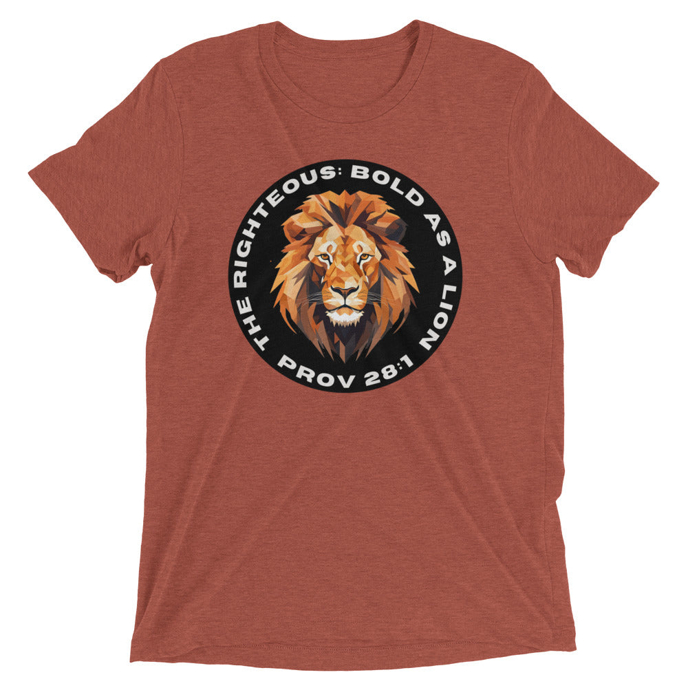 “Bold as a Lion” Unisex Tri-Blend T-Shirt 2