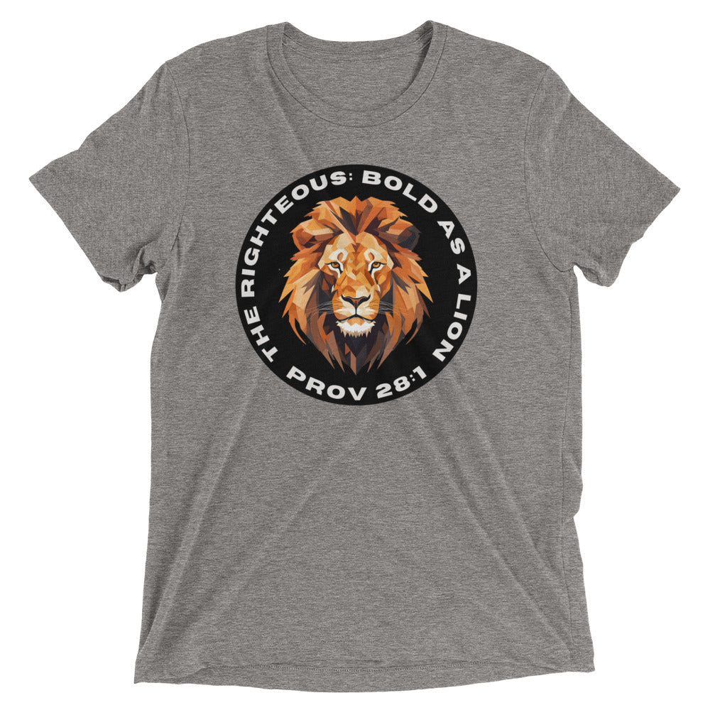 “Bold as a Lion” Unisex Tri-Blend T-Shirt 2