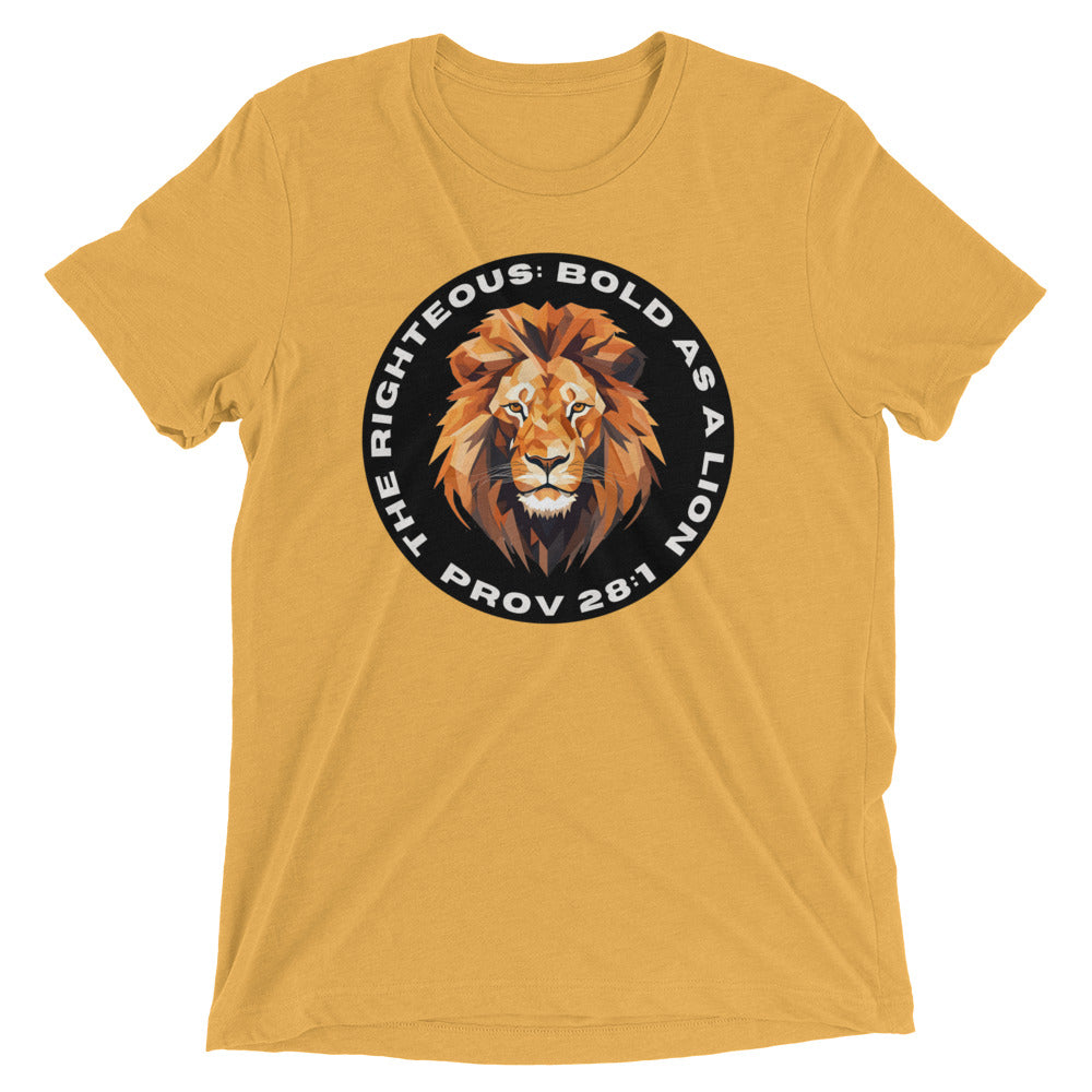 “Bold as a Lion” Unisex Tri-Blend T-Shirt 2