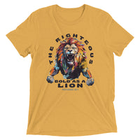 Thumbnail for “Bold as a Lion” Unisex Tri-Blend T-Shirt 5
