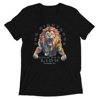 Thumbnail for “Bold as a Lion” Unisex Tri-Blend T-Shirt 5