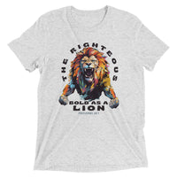 Thumbnail for “Bold as a Lion” Unisex Tri-Blend T-Shirt 5
