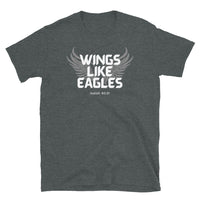 Thumbnail for “Wings Like Eagles