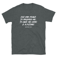 Thumbnail for “Plans to Prosper Me” Unisex Softstyle T-Shirt 4