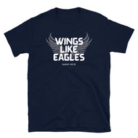 Thumbnail for “Wings Like Eagles