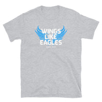 Thumbnail for “Wings Like Eagles