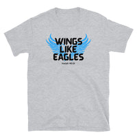 Thumbnail for “Wings Like Eagles