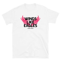 Thumbnail for “Wings Like Eagles