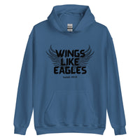 Thumbnail for “Wings Like Eagles