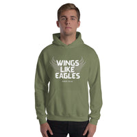 Thumbnail for “Wings Like Eagles